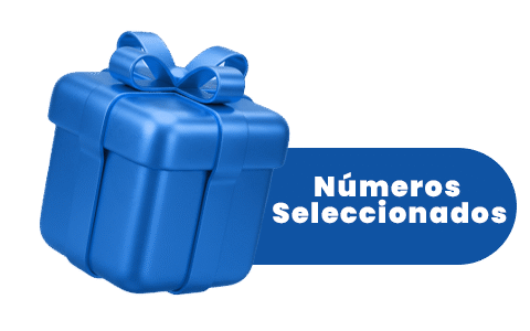 Números Seleccionados